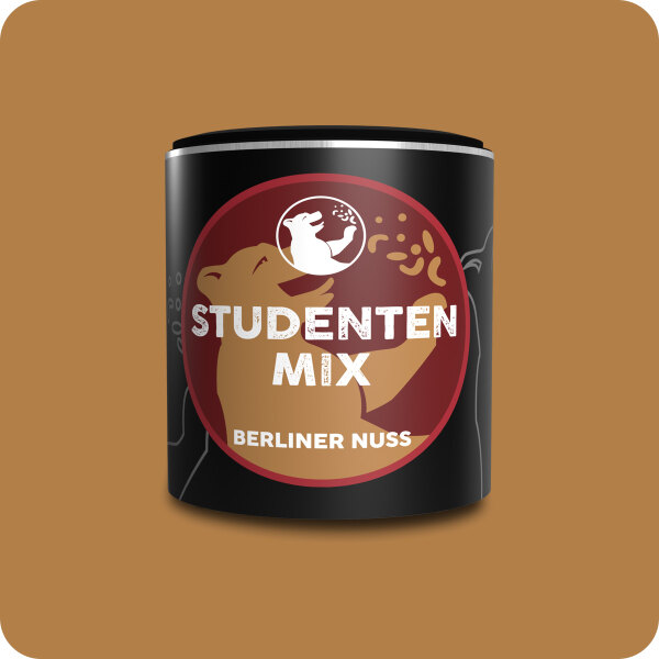StudentenMix