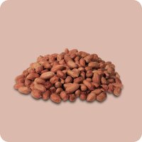Erdnusskerne roh mit Haut 5000g