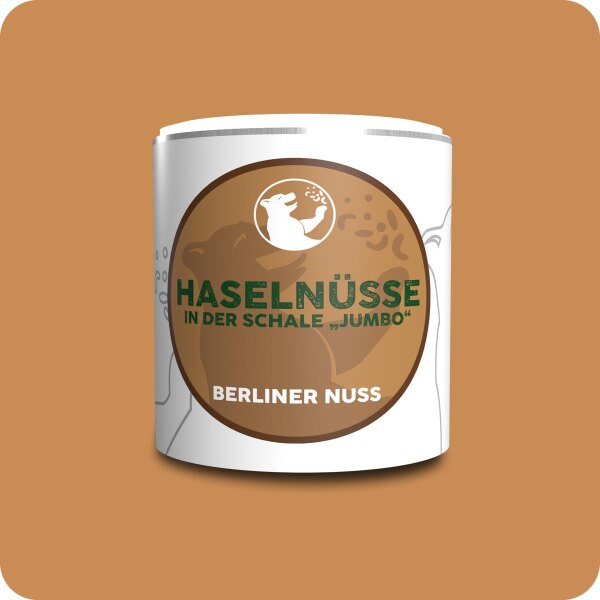 Französische Haselnüsse in der Schale Jumbo